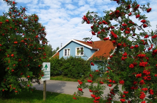 Müritzparadies &middot; Storch