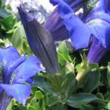 Ferienwohnung Gschwend