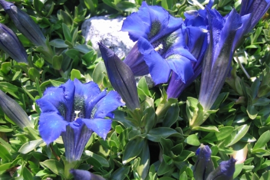 Ferienwohnung Gschwend