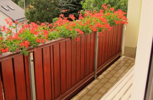 Ferienwohnung Oberwiesenthal &middot; Ferienwohnung B