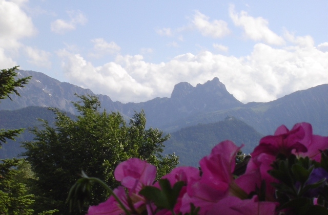 Ferienwohnung Bamberger &middot; Gipfelblick