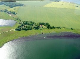 Foto 10