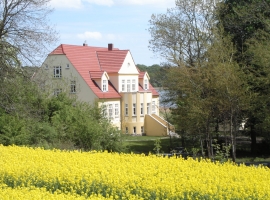 Foto 11
