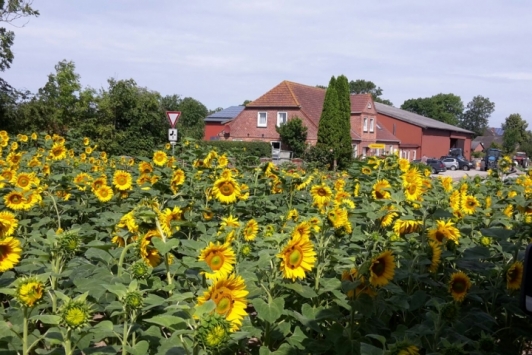 Ferienwohnung auf Ferienhof Rathmann