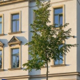 City Ferienwohnung Dresden