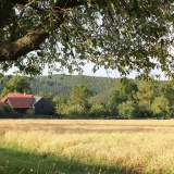 Ferienwohnungen Am Vogelherd