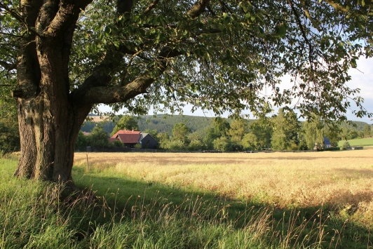 Ferienwohnungen Am Vogelherd