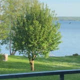 Seevilla Ost am Großen Plöner See