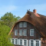 Deichkind - direkt am Elbdeich