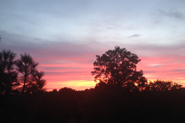 Ferienwohnungen Mey Meißen in Meißen - Frau Sabine Mey