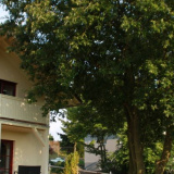 Ferienhaus König Rathmannsdorfer Höhe