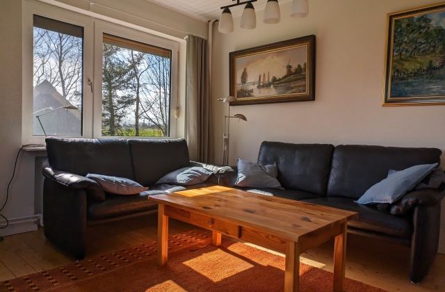 Strandurlaub in Ostfriesland am Wattenmeer &middot; Kiebitz