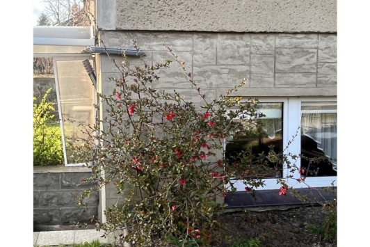 Ferienwohnung Maja in Waren Müritz